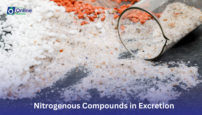 Lesson 07: Nitrogenous Compounds in Excretion